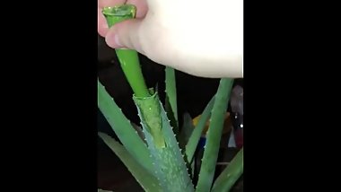 Long skinny peen daddy fucks tight teen pwussy UwU