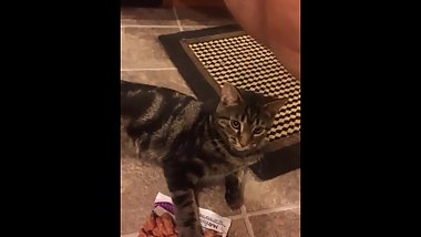 drunk teen plays with her pussy while her friend records