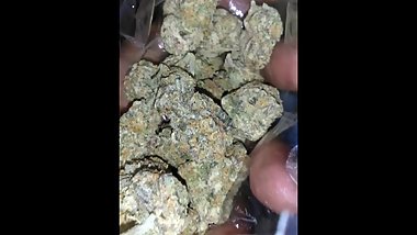 Stoner life